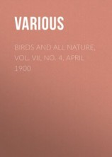 читать Birds and all Nature, Vol. VII, No. 4, April 1900