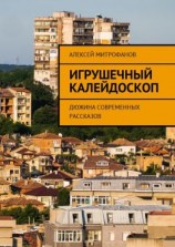 читать Игрушечный калейдоскоп. Дюжина современных рассказов