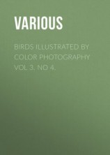 читать Birds Illustrated by Color Photography Vol 3. No 4.