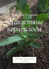 читать Капустные корнеплоды. Почему хрен редьки не слаще?