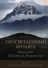 читать Просветлённый бродяга. Жизнь и учения Патрула Ринпоче