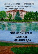 читать Что не пишут о блокаде Ленинграда. Киев-Пасс.  Санкт-Петербург. Рассказы попутчиков