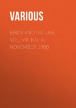 читать Birds and Nature, Vol. VIII, No. 4, November 1900