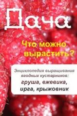 читать Что можно вырастить? Энциклопедия выращивания ягодных кустарников: груша, ежевика, ирга, крыжовник