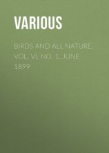 читать Birds and All Nature, Vol. VI, No. 1, June 1899