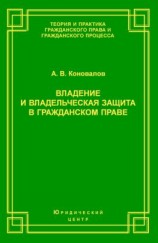 читать Владение и владельческая защита в гражданском праве