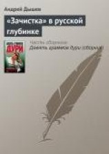 читать «Зачистка» в русской глубинке