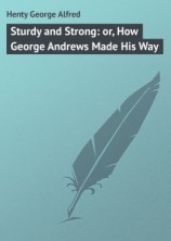 читать Sturdy and Strong: or, How George Andrews Made His Way