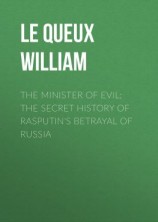 читать The Minister of Evil: The Secret History of Rasputin's Betrayal of Russia