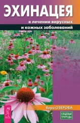 читать Эхинацея в лечении вирусных и кожных заболеваний