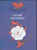 читать Деревянное царство (с рисунками О. Биантовской)