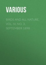 читать Birds and all Nature, Vol. IV, No. 3, September 1898