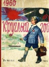 читать Путешествие Пети Иванова на внеземную станцию