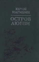 читать Огненный протопоп