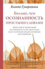 читать Больше, чем осознанность простыми словами. Простой и понятный путеводитель по джханам, или глубоким медитативным состояниям