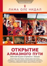 читать Открытие Алмазного пути. Тибетский буддизм встречается с Западом