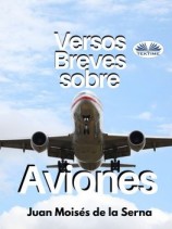 читать Versos Breves Sobre Aviones