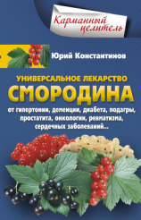 читать Универсальное лекарство смородина. От гипертонии, деменции, диабета, подагры, простатита, онкологии, ревматизма, сердечных заболеваний