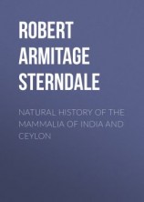 читать Natural History of the Mammalia of India and Ceylon