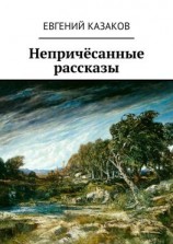 читать Непричёсанные рассказы