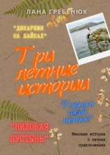 читать Три летние истории