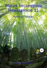 читать Магия Бессмертия. Неизданное 11. Выход за Пределы