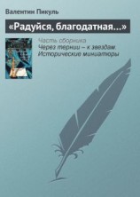 читать «Радуйся, благодатная…»