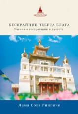 читать Бескрайние небеса блага. Учения о страдании и пустоте