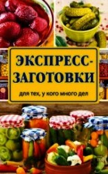 читать Экспресс-заготовки