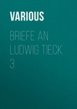 читать Briefe an Ludwig Tieck 3