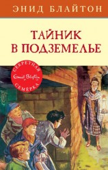 читать Тайник в подземелье