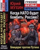 читать Когда НАТО будет бомбить Россию? Блицкриг против Путина