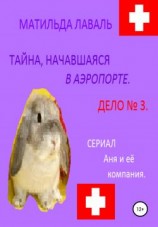 читать Тайна, начавшаяся в аэропорту