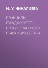 читать Принципы гражданского процессуального права Кыргызстана