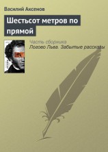 читать Шестьсот метров по прямой