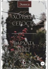 читать Холода серость, бархата цвет