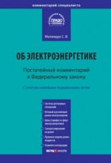 читать Комментарий к Федеральному закону от 26 марта 2003 г.  35-ФЗ «Об электроэнергетике» (постатейный)