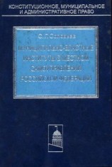 читать Муниципально-властные институты в местном самоуправлении Российской Федерации