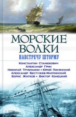 читать Морские волки. Навстречу шторму (сборник)