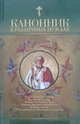 читать Канонник в различных нуждах