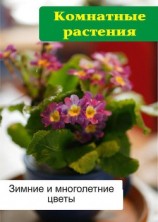 читать Комнатные растения. Зимние и многолетние цветы