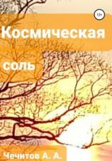 читать Космическая соль