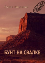 читать Бунт на Свалке. Тетралогия «Свалка человеческих душ»  1