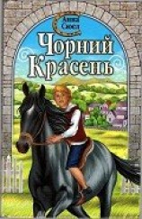 читать Чорний красень