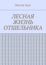 читать Лесная жизнь отшельника. Книга 5. Второй вариант вознесения