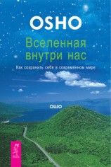 читать Вселенная внутри нас. Как сохранить себя в современном мире