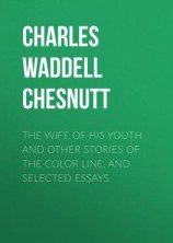 читать The Wife of his Youth and Other Stories of the Color Line, and Selected Essays