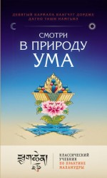 читать Смотри в природу ума. Классический учебник по практике Махамудры