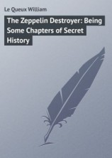 читать The Zeppelin Destroyer: Being Some Chapters of Secret History