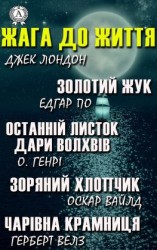 читать Жага до життя: Золотий жук, Останній листок, Дари волхвів, Зоряний хлопчик, Чарівна крамниця